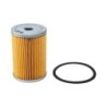 RF1085 Fuel Filter Element